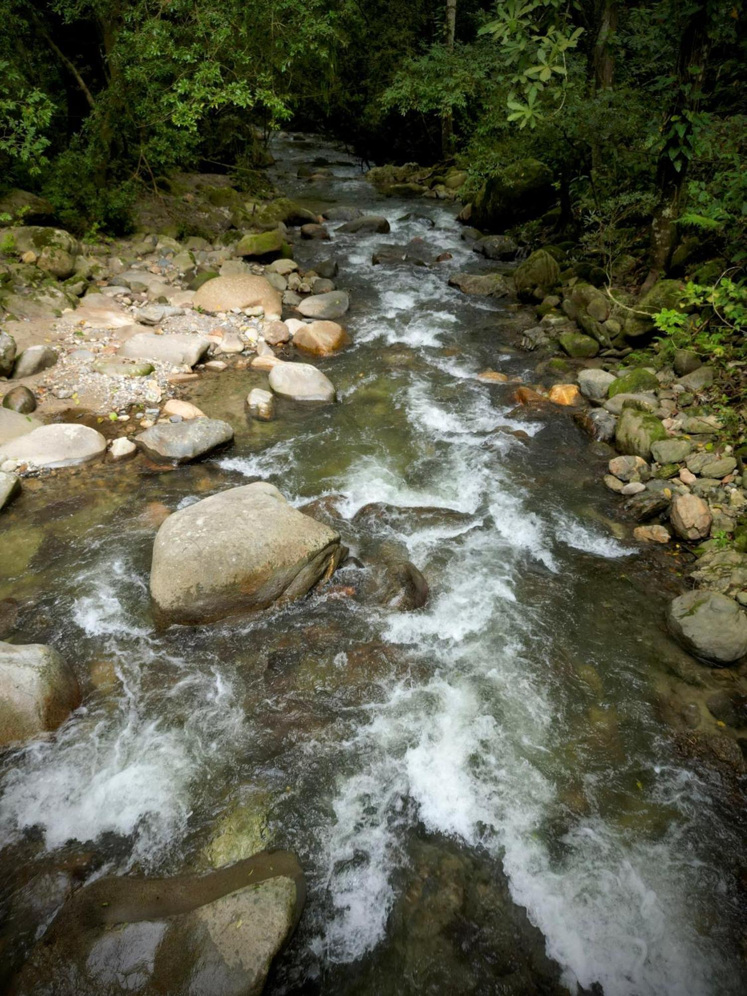 Las Cabanas Del Rio Minca Buitenkant foto