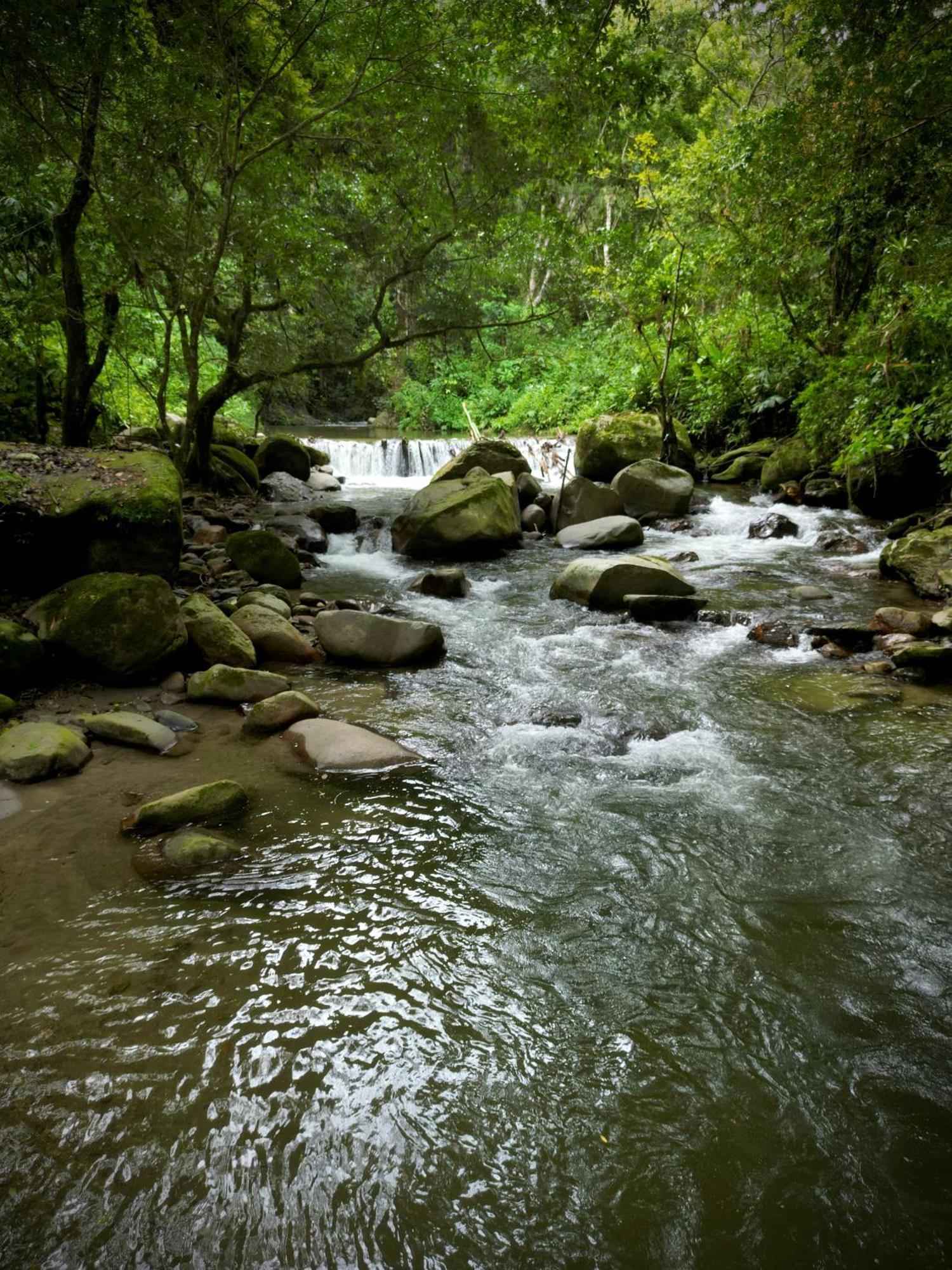 Las Cabanas Del Rio Minca Buitenkant foto